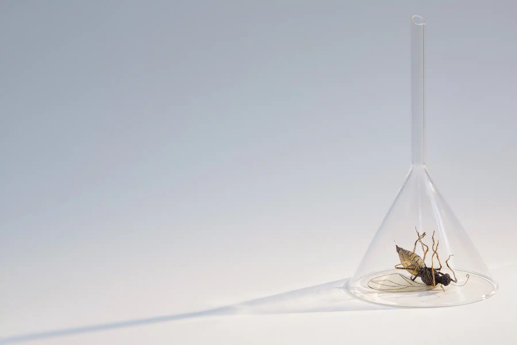  Upturned glass funnel containing faux 